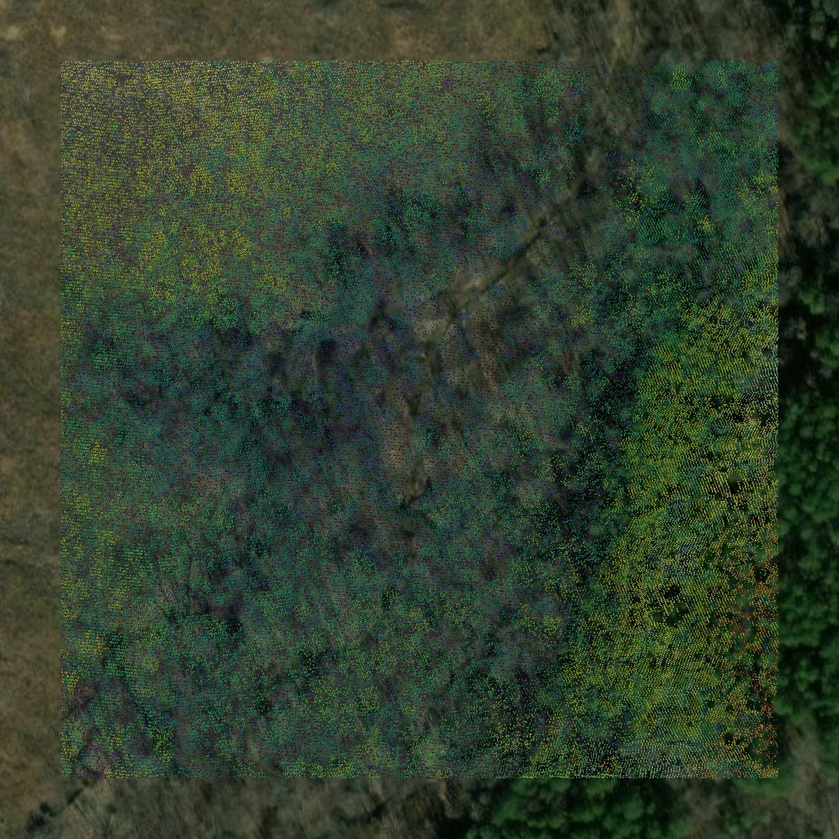 This image shows a LiDAR point cloud in Amelia County created using GIS data in Equator.