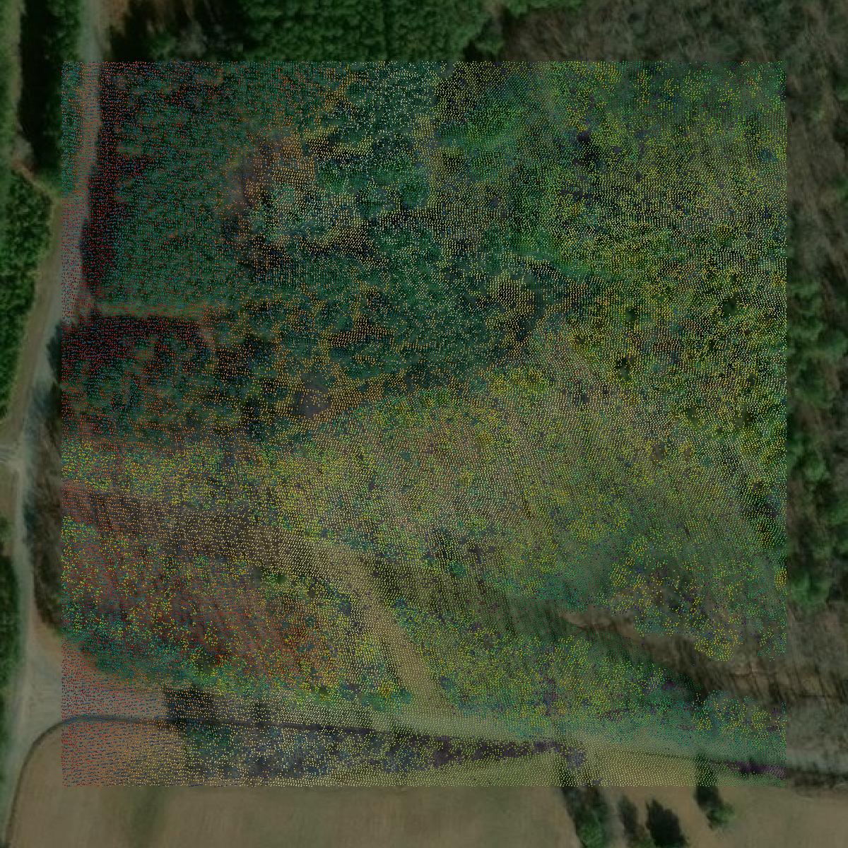 This image shows a LiDAR point cloud in Amelia County created using GIS data in Equator.