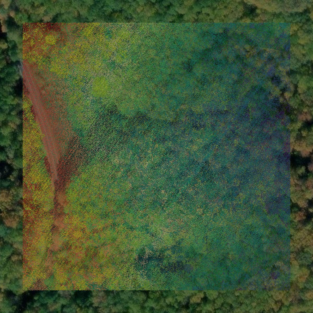 This image shows a LiDAR point cloud in Amherst County created using GIS data in Equator.