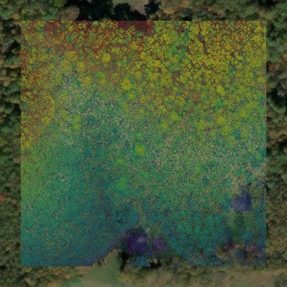 This image shows a LiDAR point cloud in Amherst County created using GIS data in Equator.