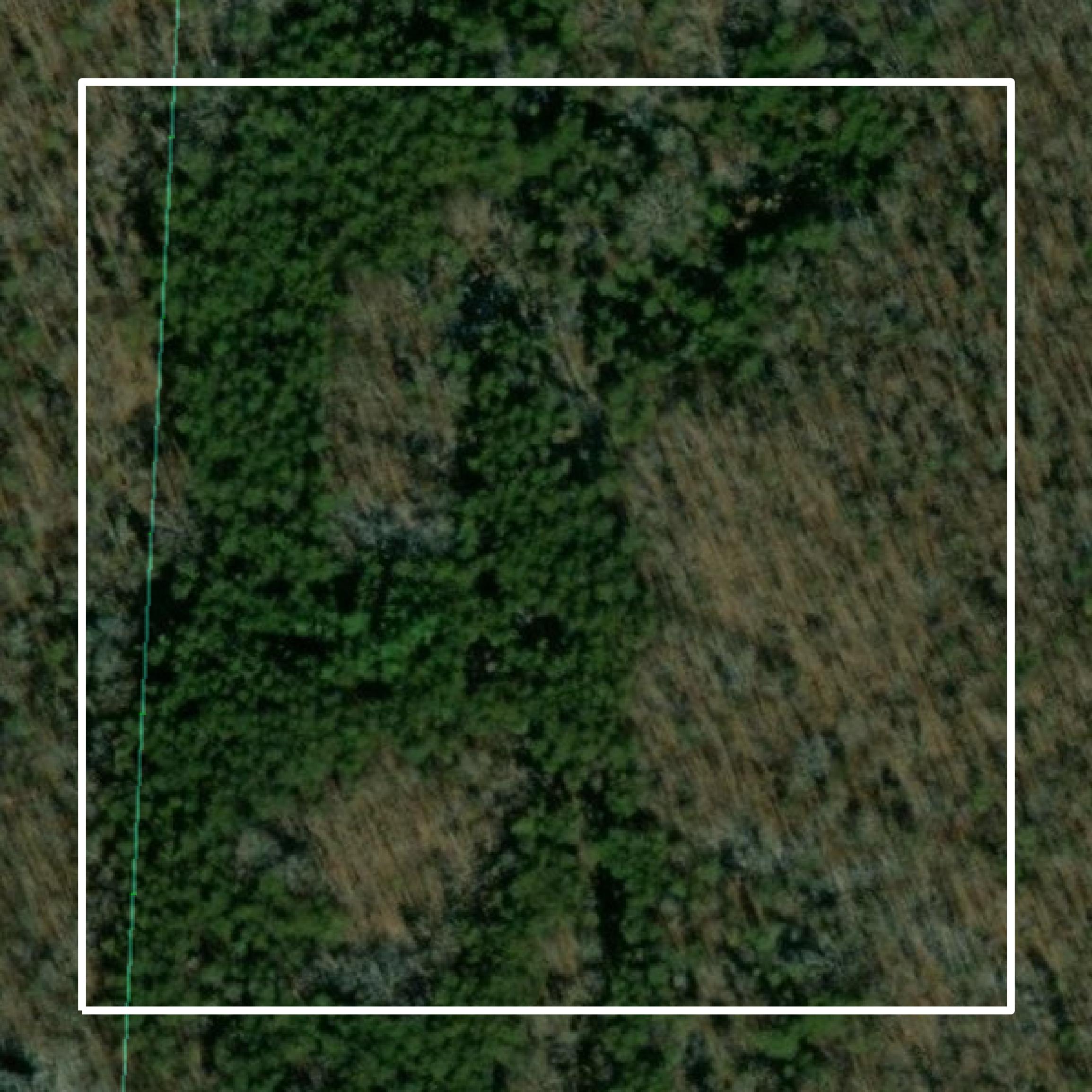 This image shows parcel and building data in Appomattox County created using GIS data in Equator.