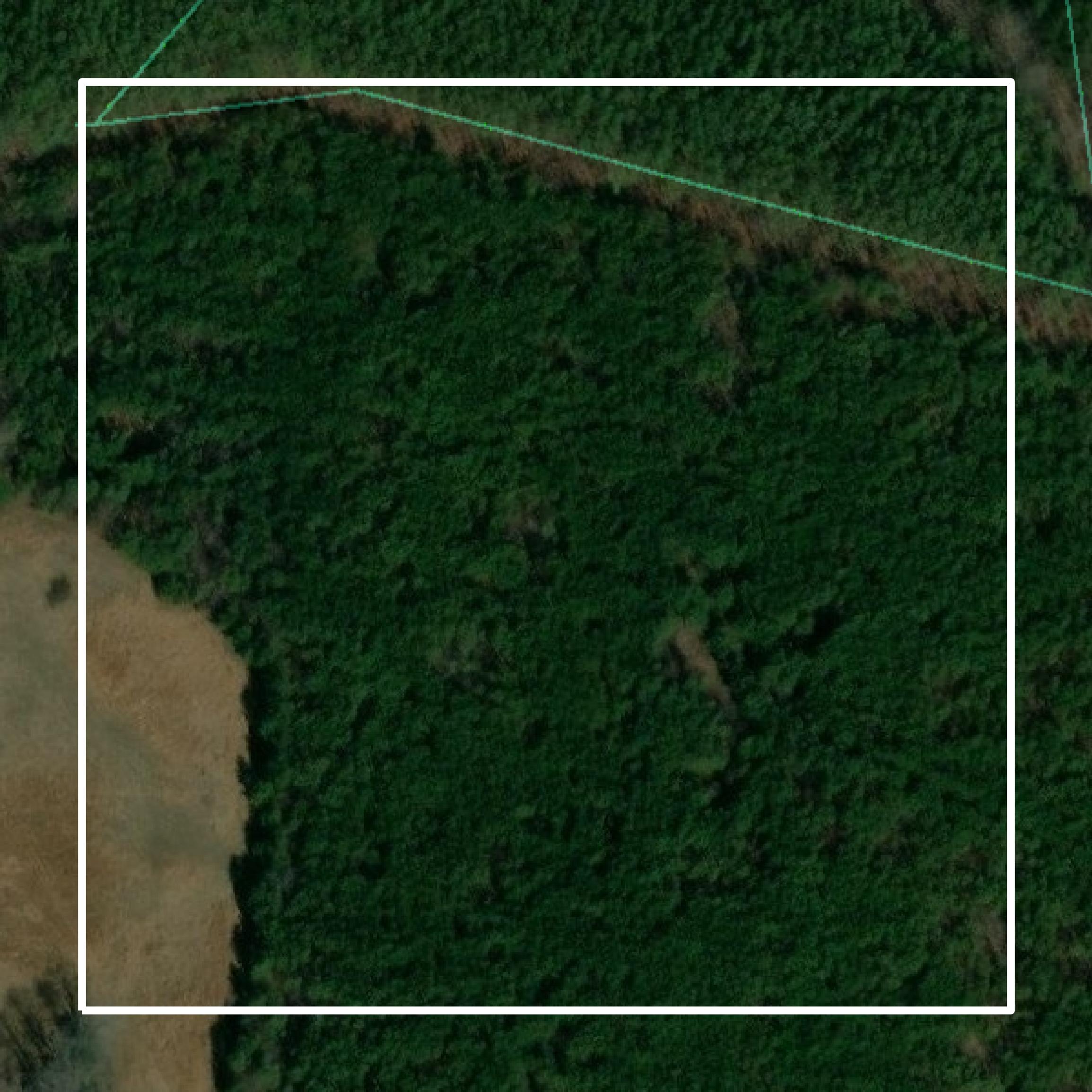 This image shows parcel and building data in Appomattox County created using GIS data in Equator.
