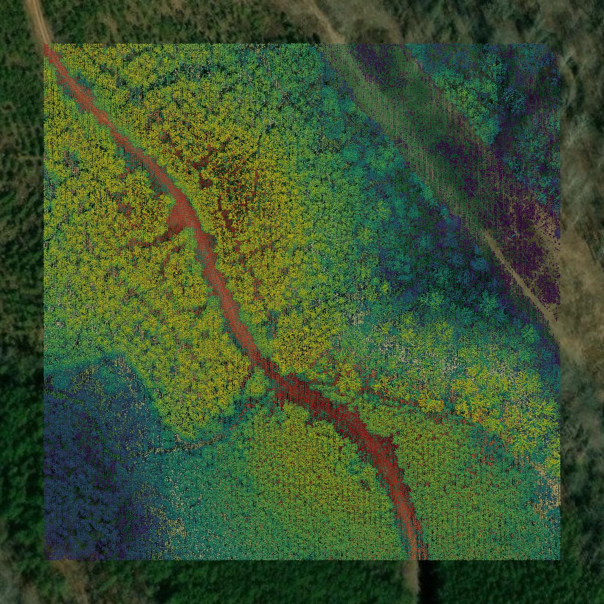 This image shows a LiDAR point cloud in Appomattox County created using GIS data in Equator.