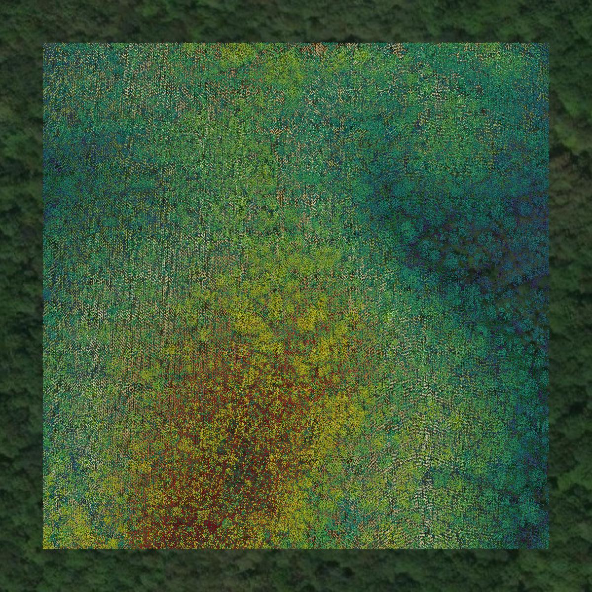 This image shows a LiDAR point cloud in Appomattox County created using GIS data in Equator.