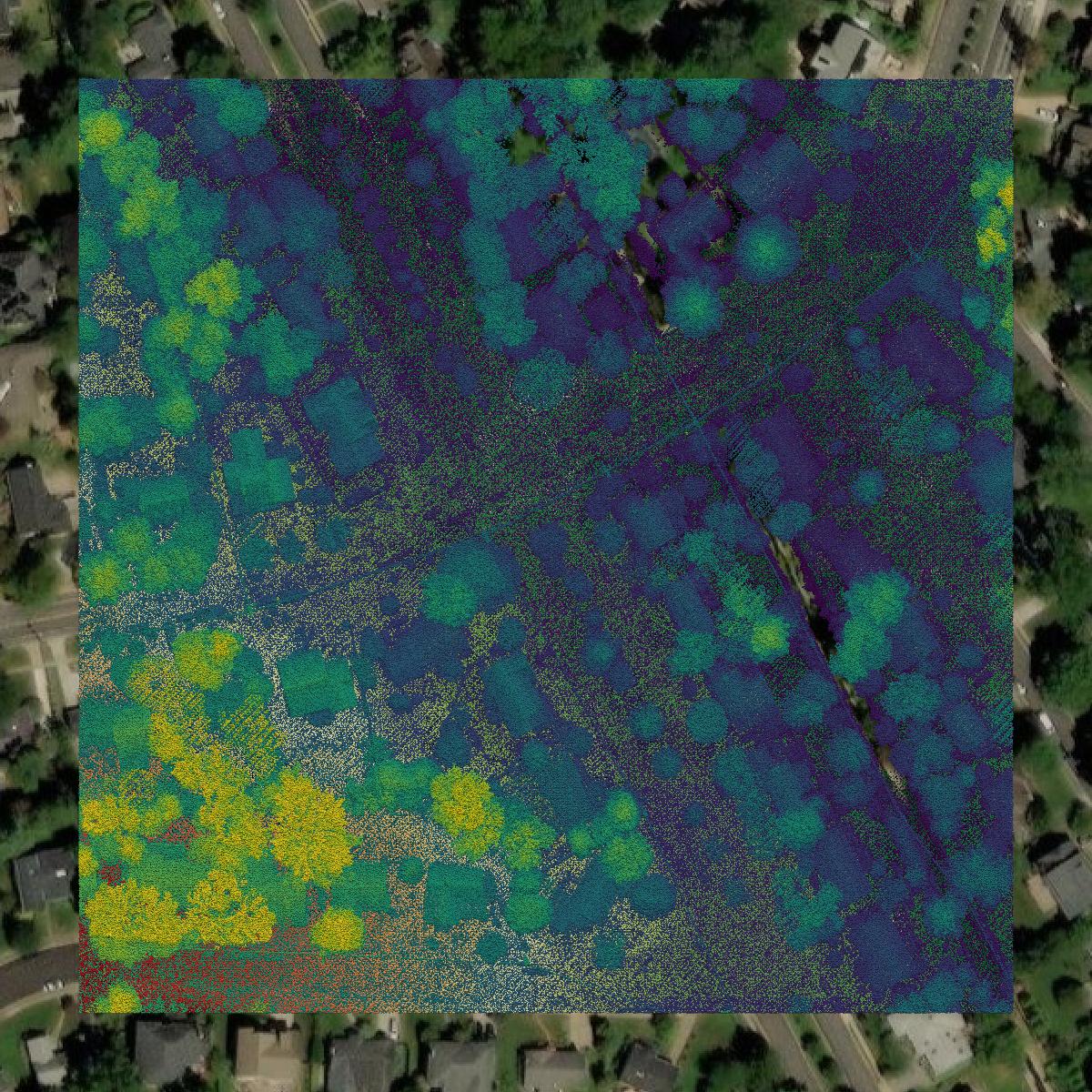 This image shows a LiDAR point cloud in Arlington County created using GIS data in Equator.