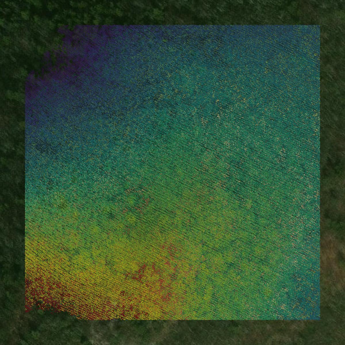 This image shows a LiDAR point cloud in Augusta County created using GIS data in Equator.