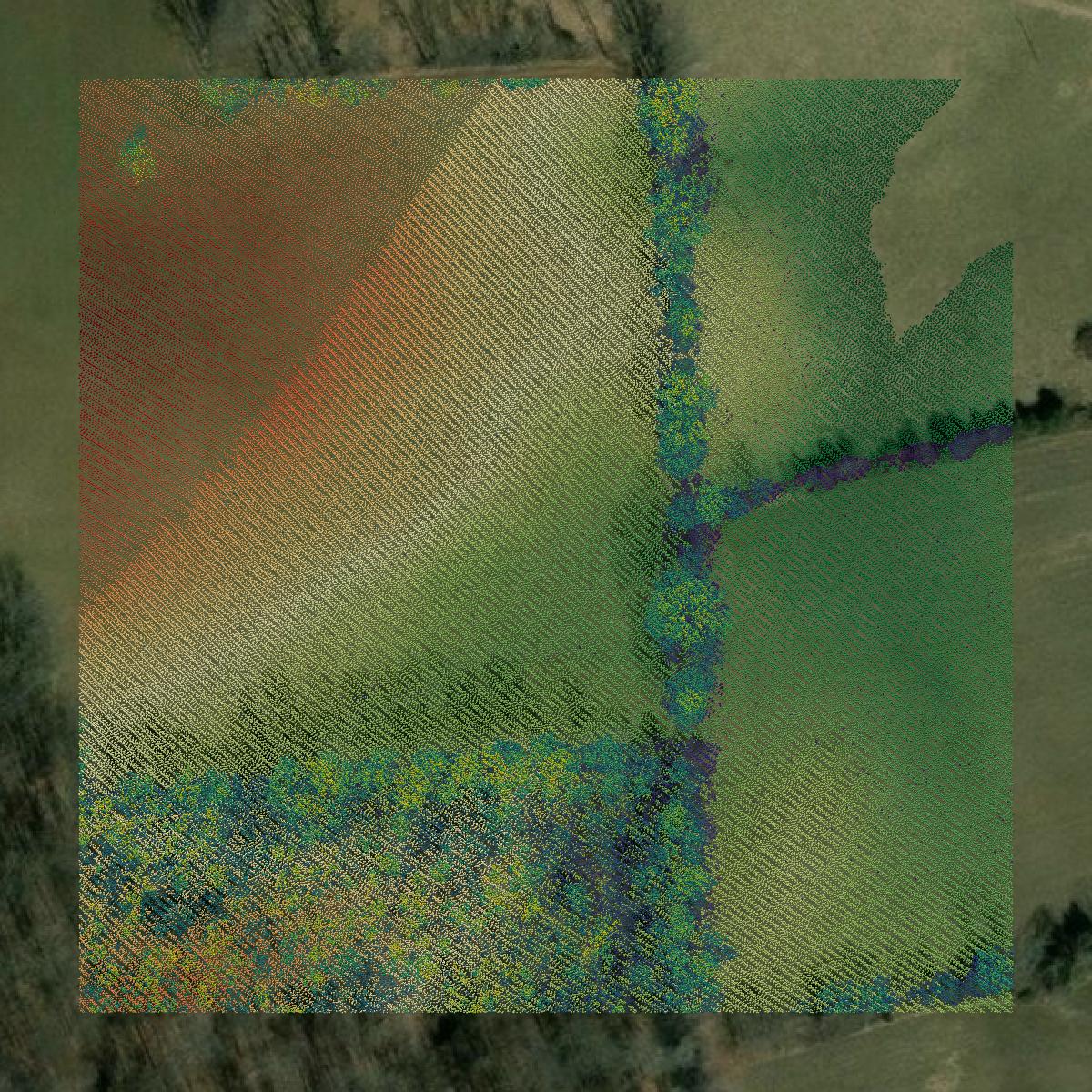 This image shows a LiDAR point cloud in Augusta County created using GIS data in Equator.