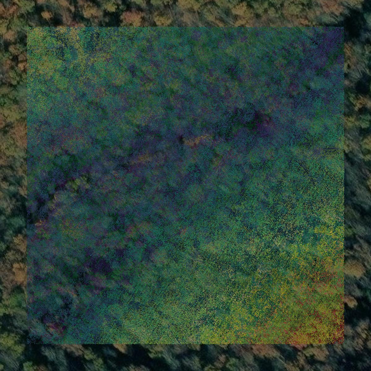 This image shows a LiDAR point cloud in Bath County created using GIS data in Equator.