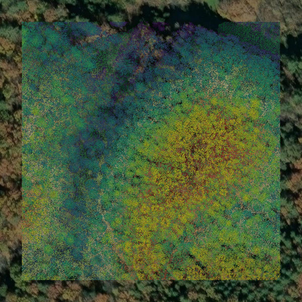 This image shows a LiDAR point cloud in Bath County created using GIS data in Equator.