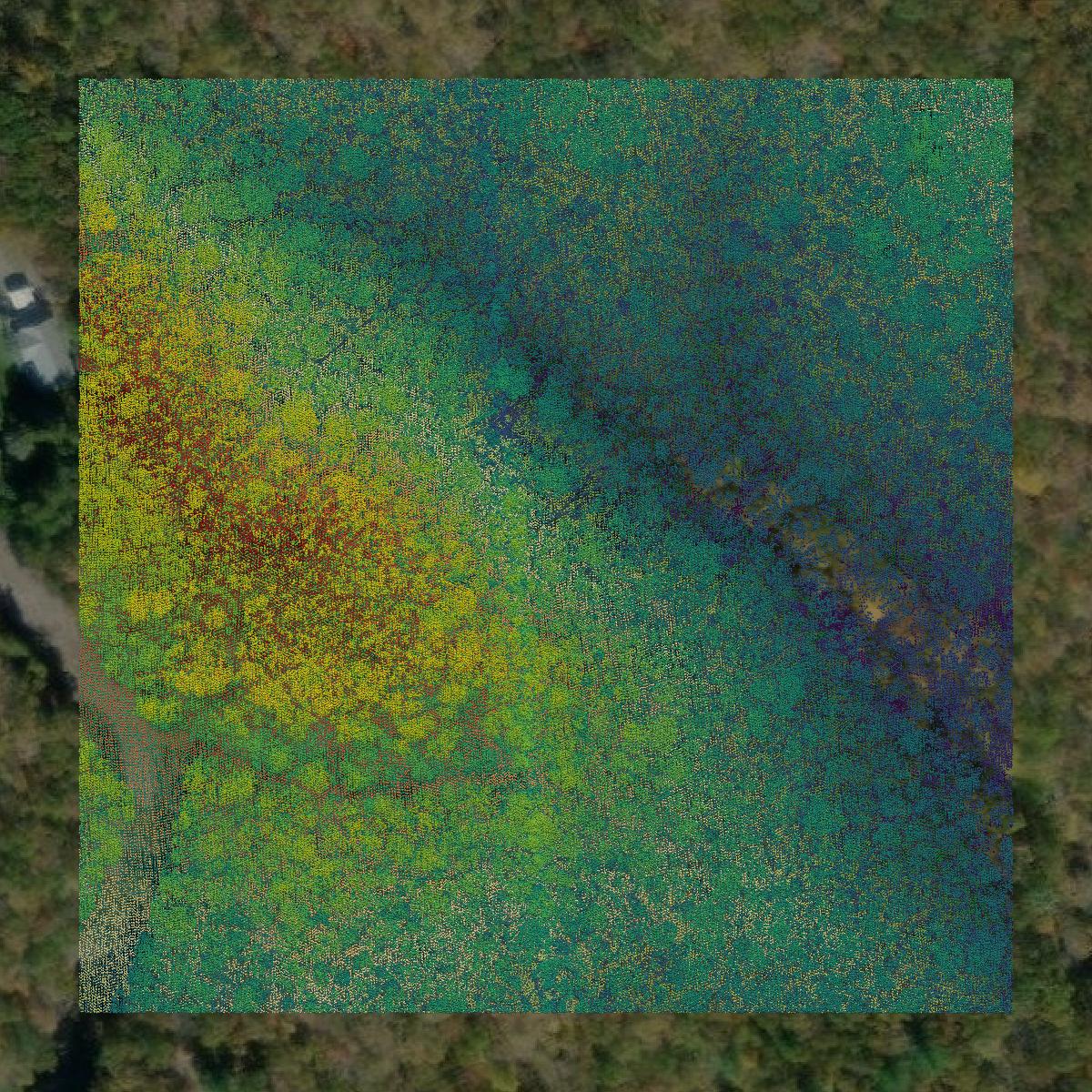 This image shows a LiDAR point cloud in Bland County created using GIS data in Equator.