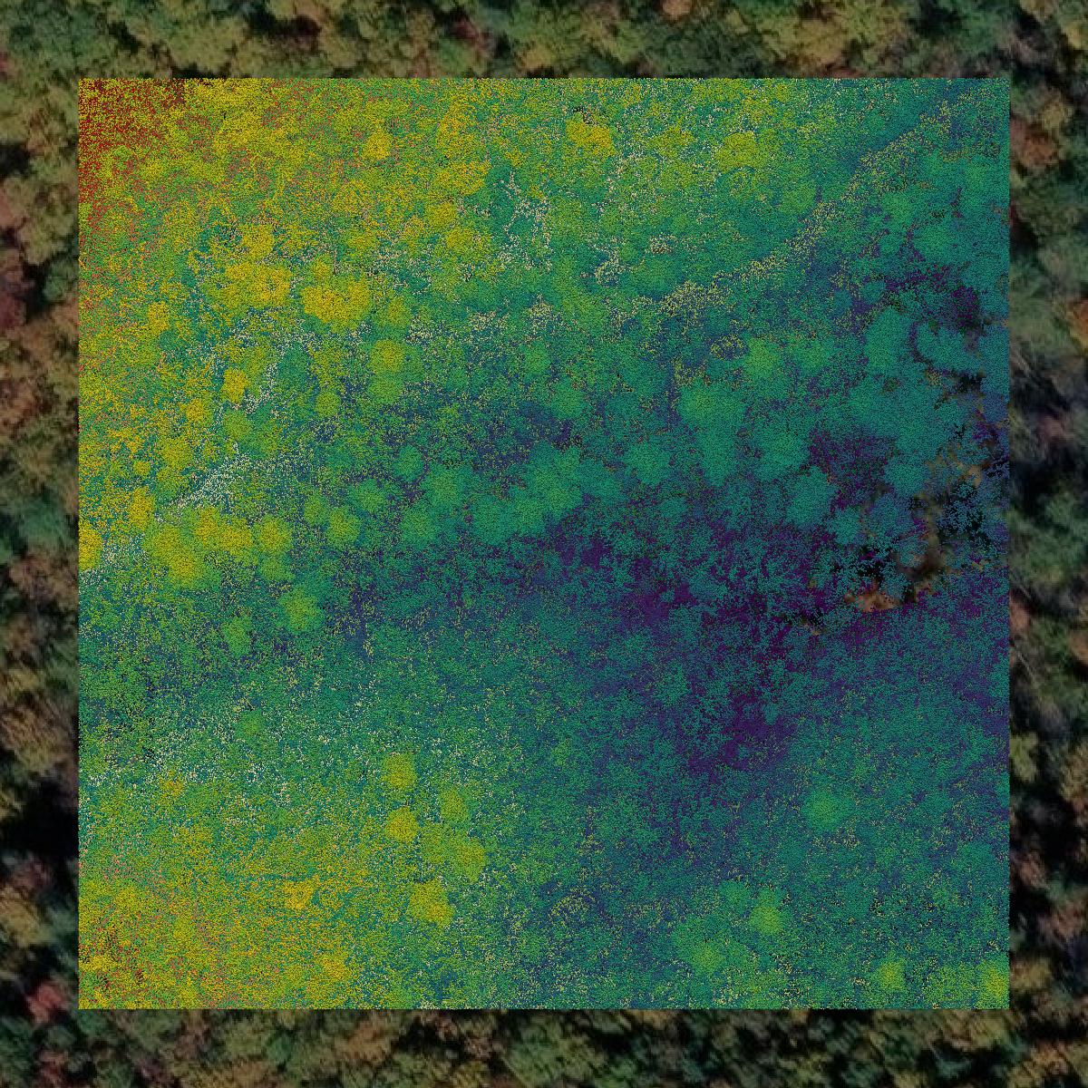 This image shows a LiDAR point cloud in Botetourt County created using GIS data in Equator.
