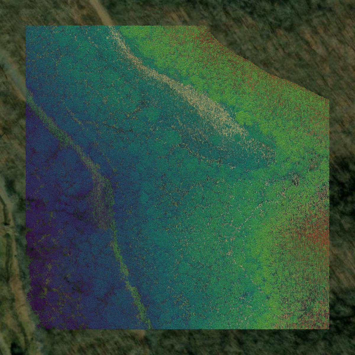 This image shows a LiDAR point cloud in Buchanan County created using GIS data in Equator.