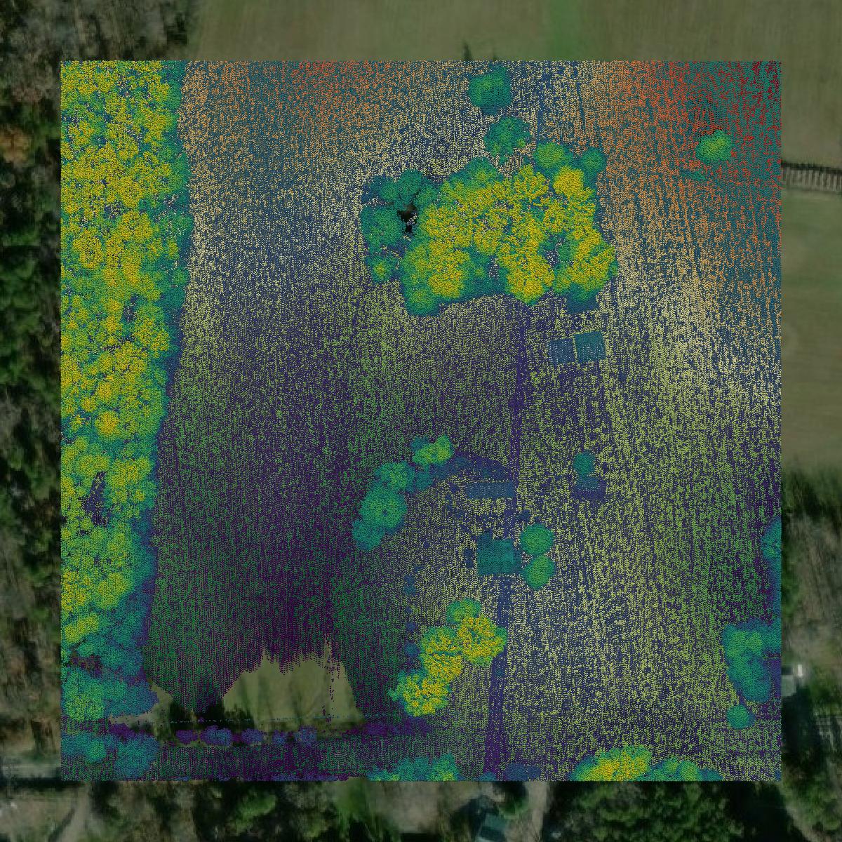 This image shows a LiDAR point cloud in Buckingham County created using GIS data in Equator.