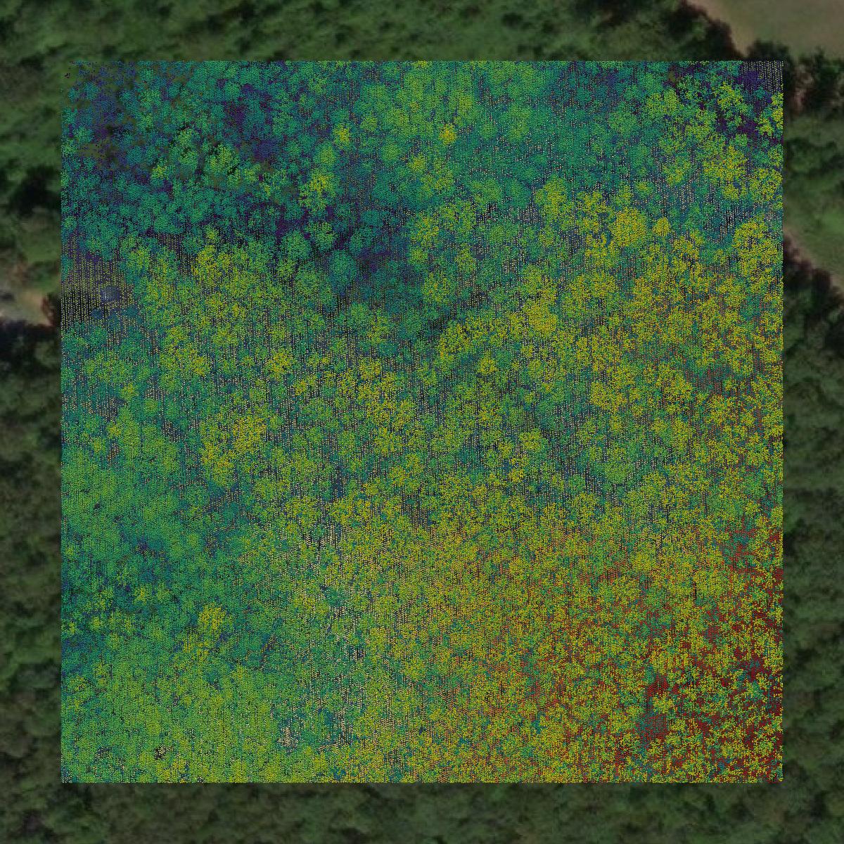 This image shows a LiDAR point cloud in Buckingham County created using GIS data in Equator.