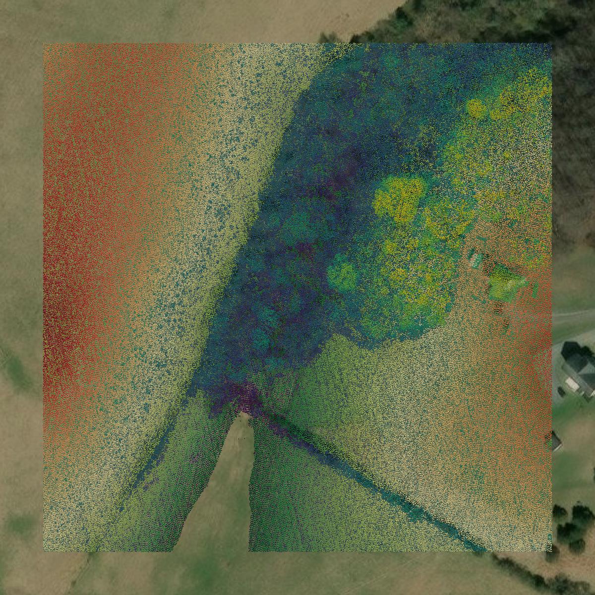 This image shows a LiDAR point cloud in Buena Vista city created using GIS data in Equator.