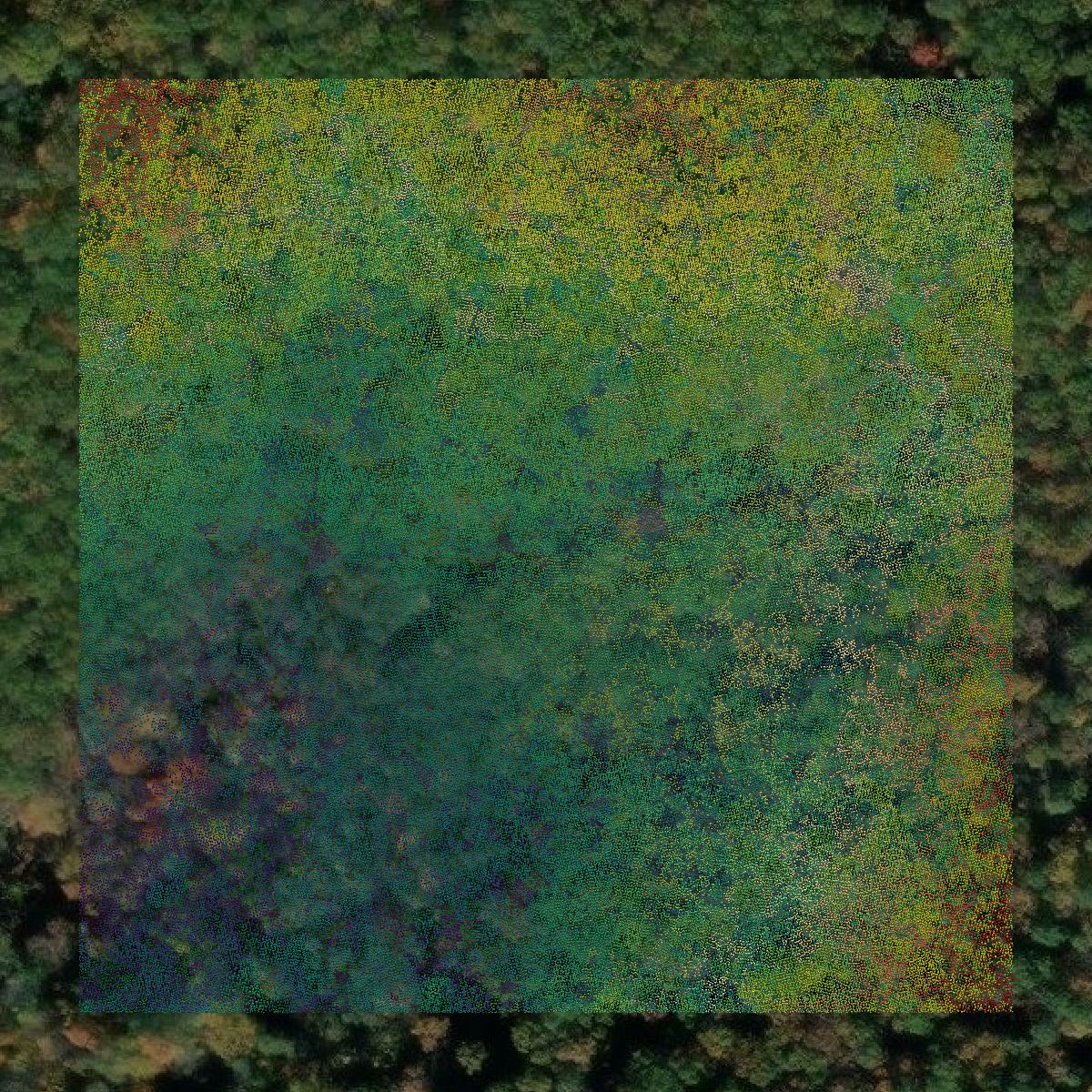 This image shows a LiDAR point cloud in Buena Vista city created using GIS data in Equator.
