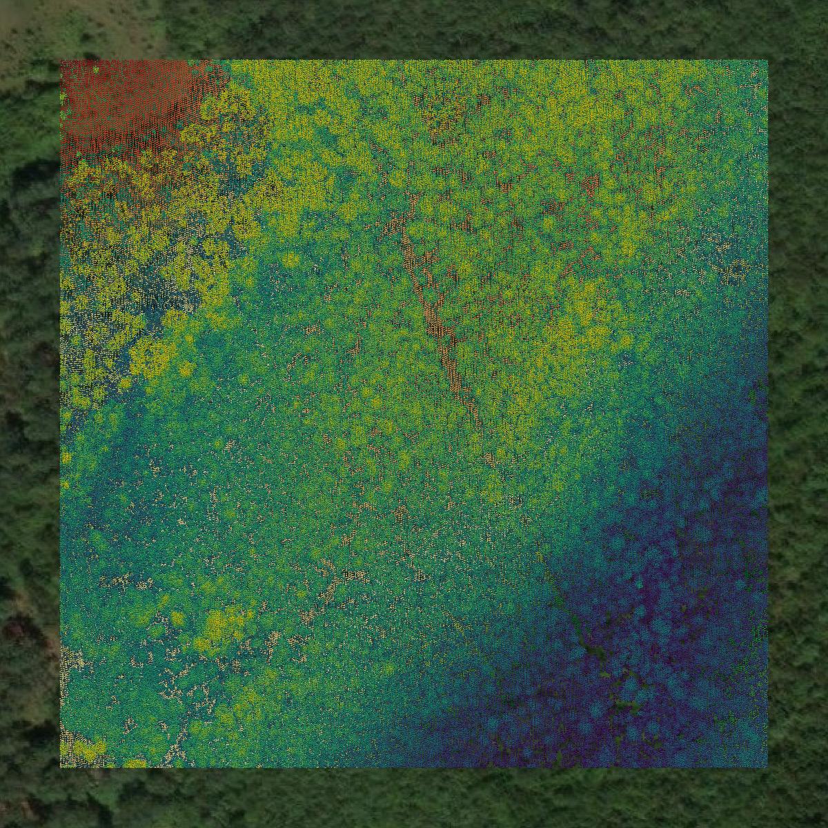 This image shows a LiDAR point cloud in Campbell County created using GIS data in Equator.