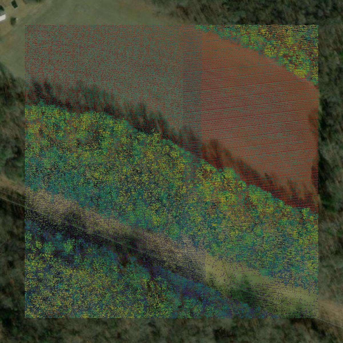 This image shows a LiDAR point cloud in Caroline County created using GIS data in Equator.