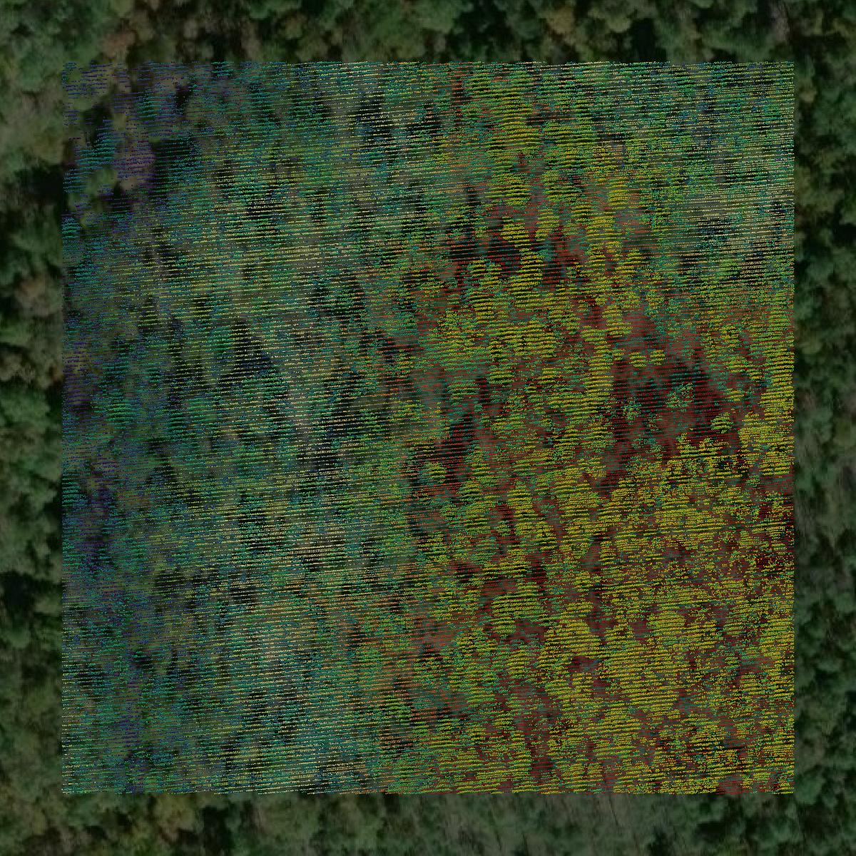 This image shows a LiDAR point cloud in Caroline County created using GIS data in Equator.