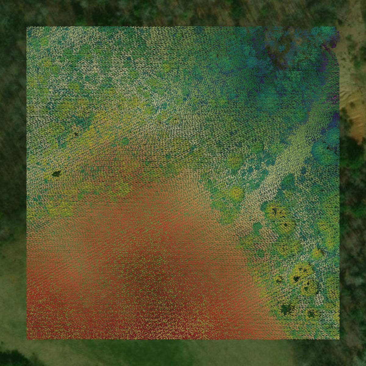 This image shows a LiDAR point cloud in Carroll County created using GIS data in Equator.