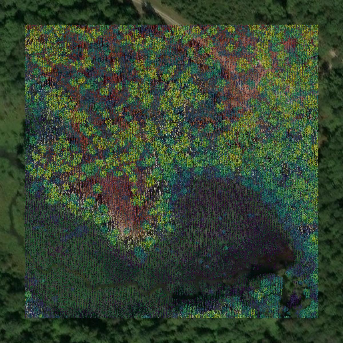 This image shows a LiDAR point cloud in Charles City County created using GIS data in Equator.