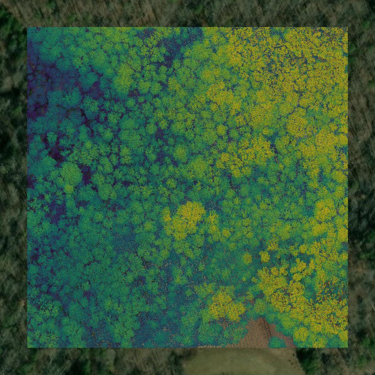This image shows a LiDAR point cloud in Charlotte County created using GIS data in Equator.