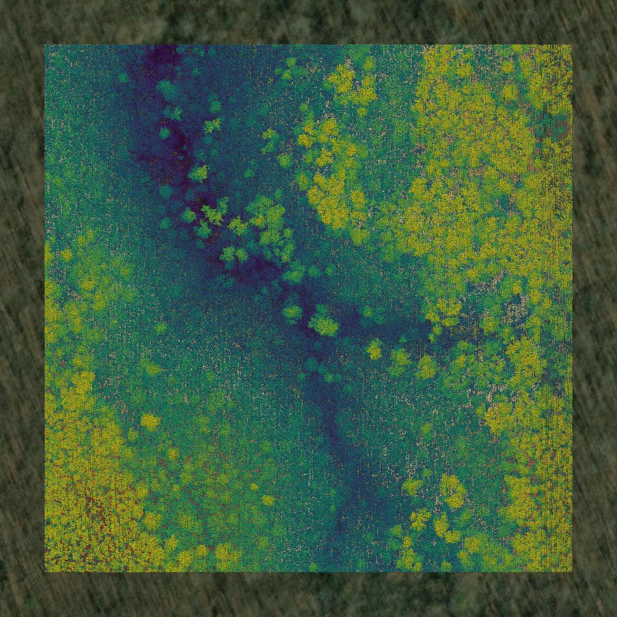 This image shows a LiDAR point cloud in Charlotte County created using GIS data in Equator.