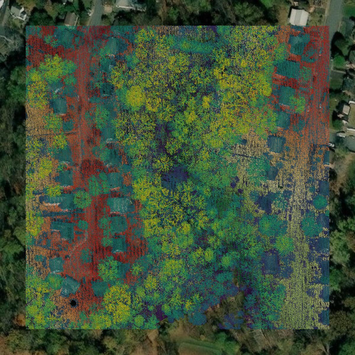 This image shows a LiDAR point cloud in Charlottesville city created using GIS data in Equator.