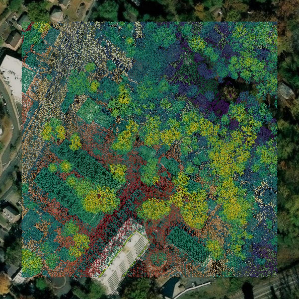 This image shows a LiDAR point cloud in Charlottesville city created using GIS data in Equator.