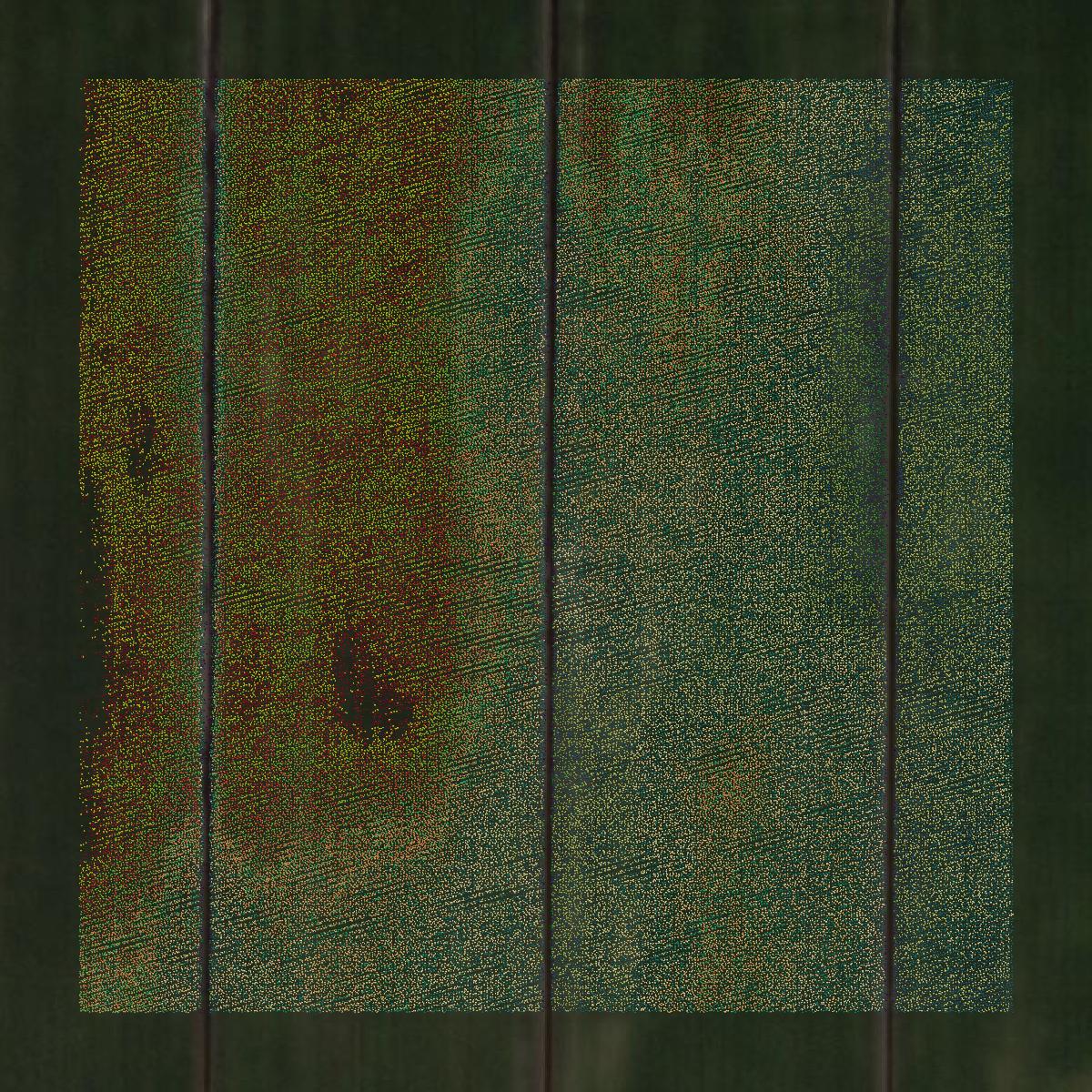 This image shows a LiDAR point cloud in Chesapeake city created using GIS data in Equator.