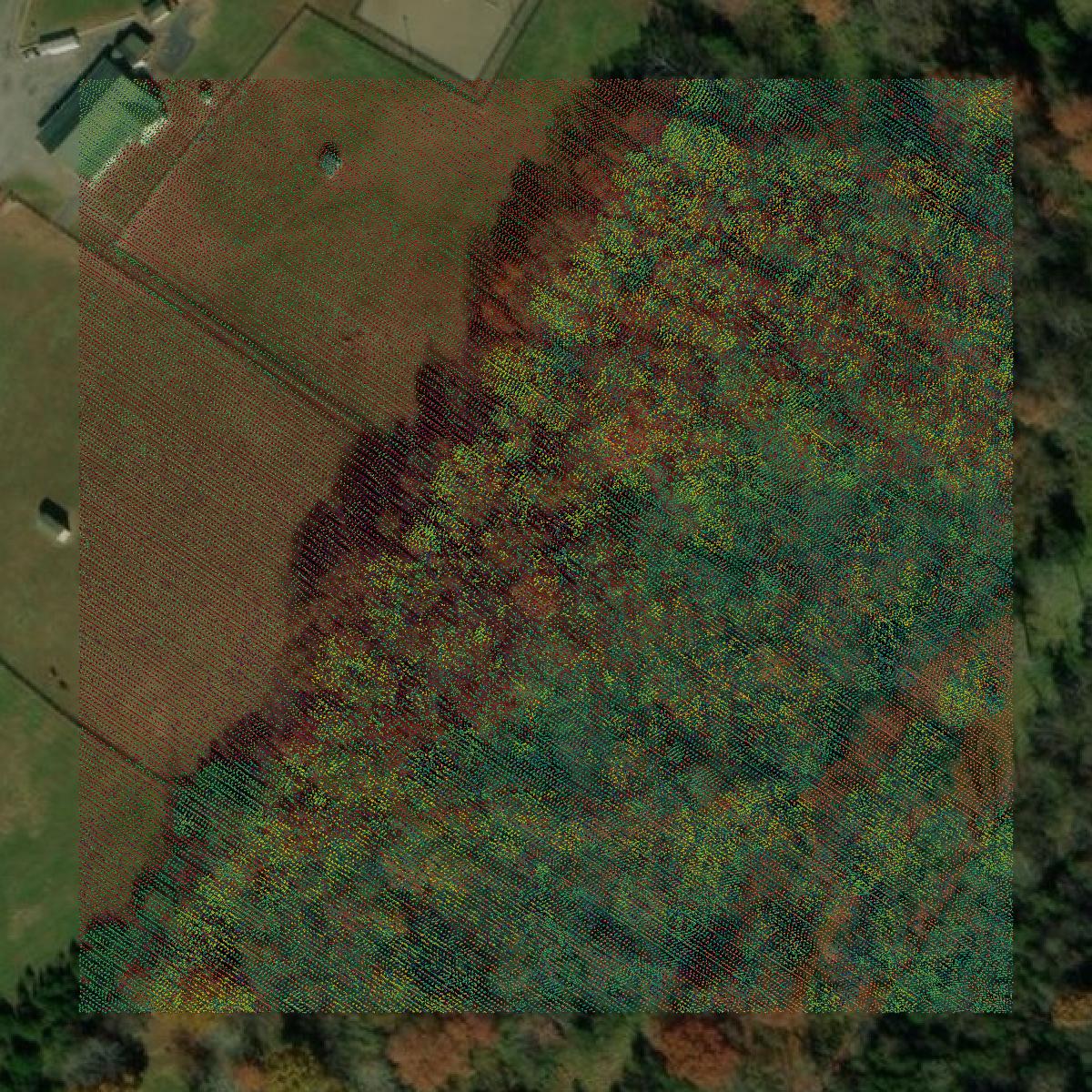 This image shows a LiDAR point cloud in Clarke County created using GIS data in Equator.