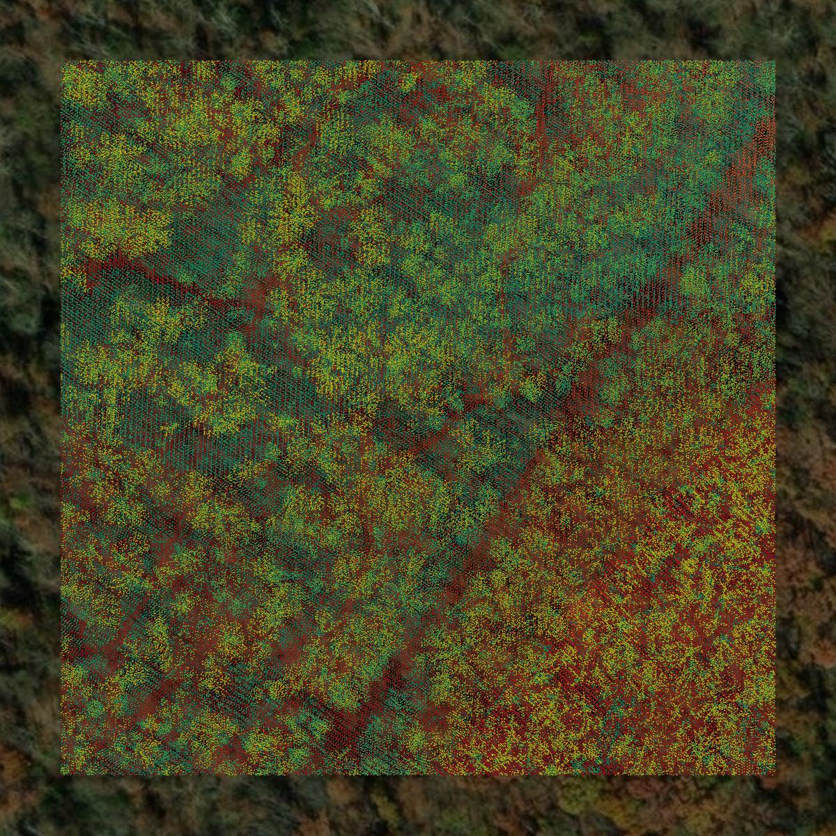 This image shows a LiDAR point cloud in Clarke County created using GIS data in Equator.