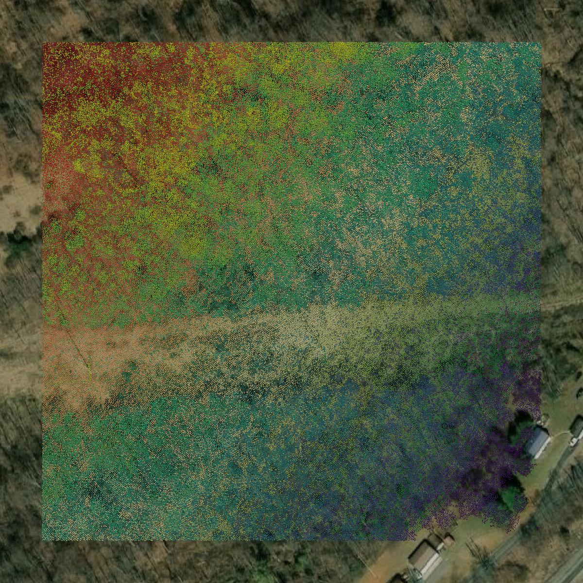 This image shows a LiDAR point cloud in Covington city created using GIS data in Equator.