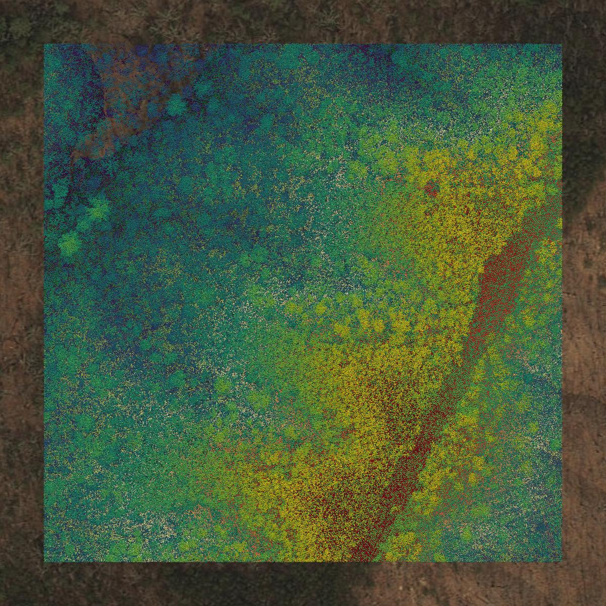 This image shows a LiDAR point cloud in Craig County created using GIS data in Equator.