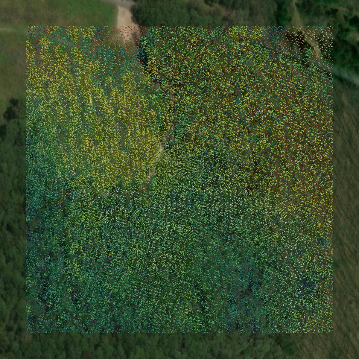 This image shows a LiDAR point cloud in Culpeper County created using GIS data in Equator.