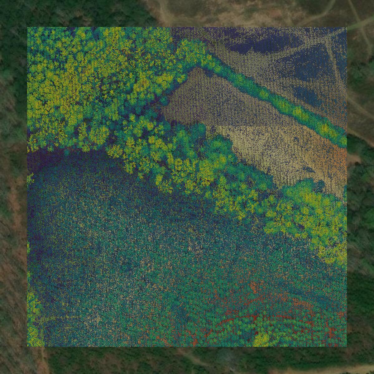 This image shows a LiDAR point cloud in Cumberland County created using GIS data in Equator.