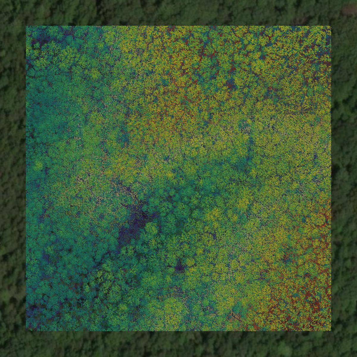 This image shows a LiDAR point cloud in Cumberland County created using GIS data in Equator.