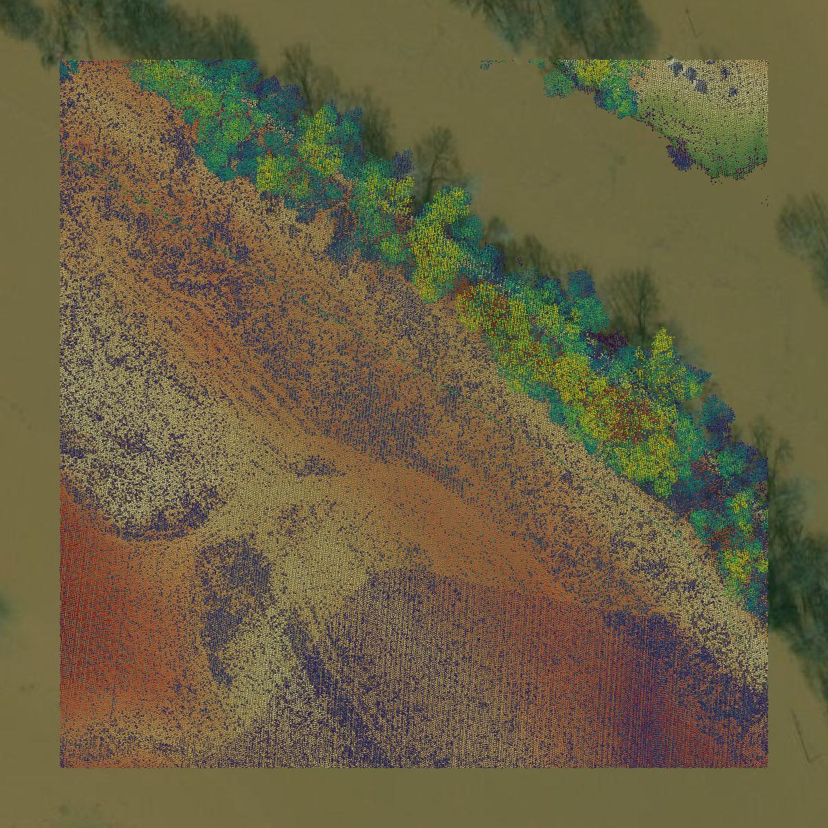 This image shows a LiDAR point cloud in Danville city created using GIS data in Equator.