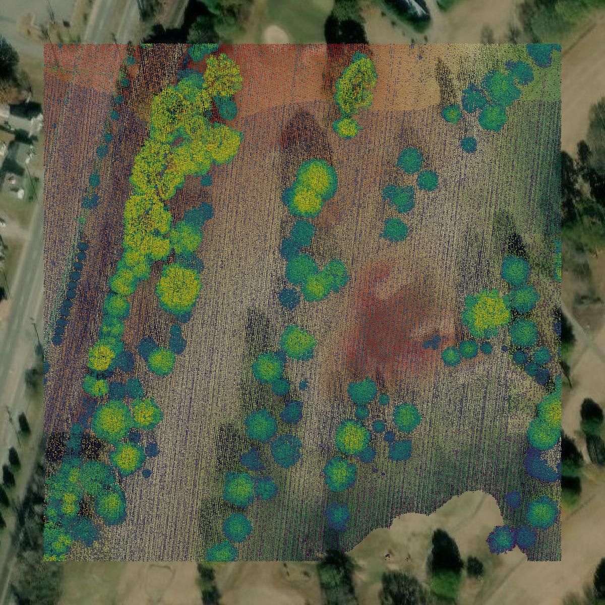 This image shows a LiDAR point cloud in Danville city created using GIS data in Equator.
