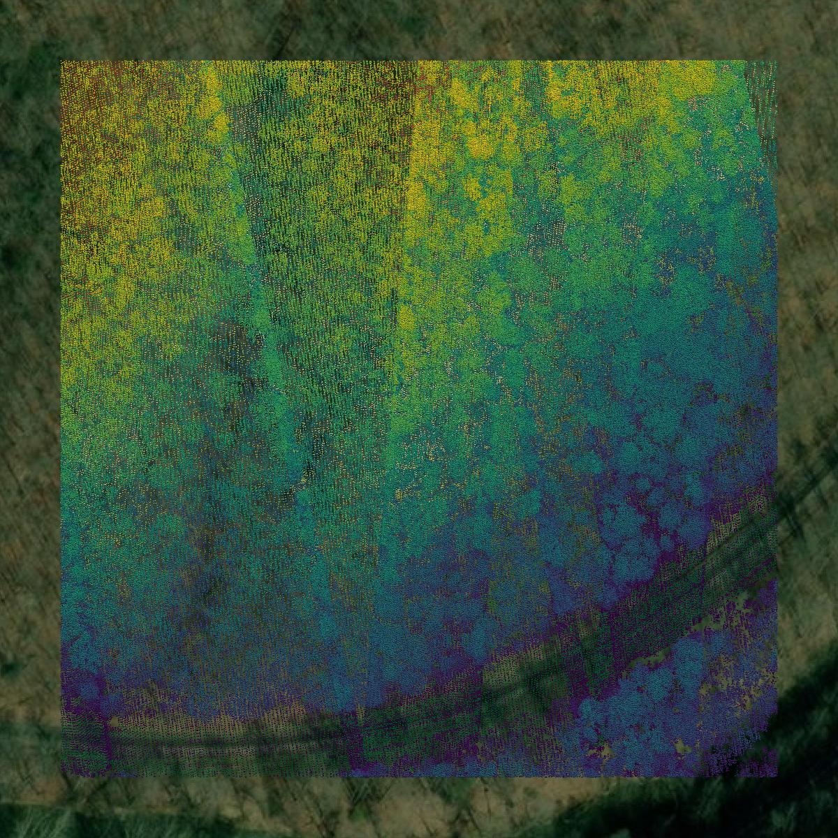 This image shows a LiDAR point cloud in Dickenson County created using GIS data in Equator.