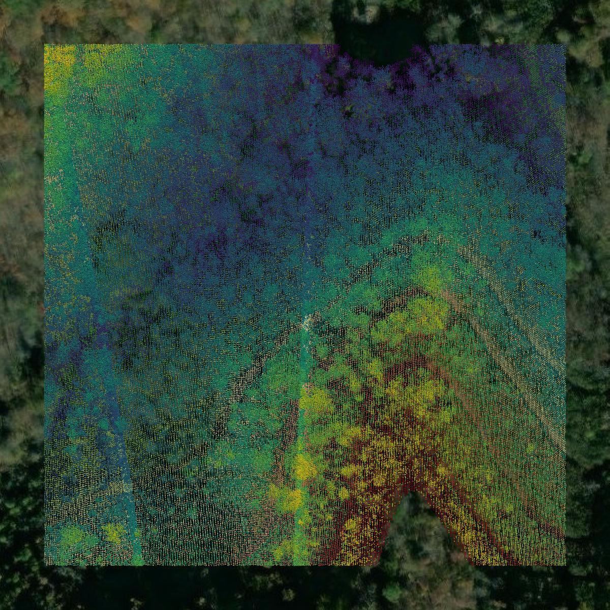 This image shows a LiDAR point cloud in Dickenson County created using GIS data in Equator.