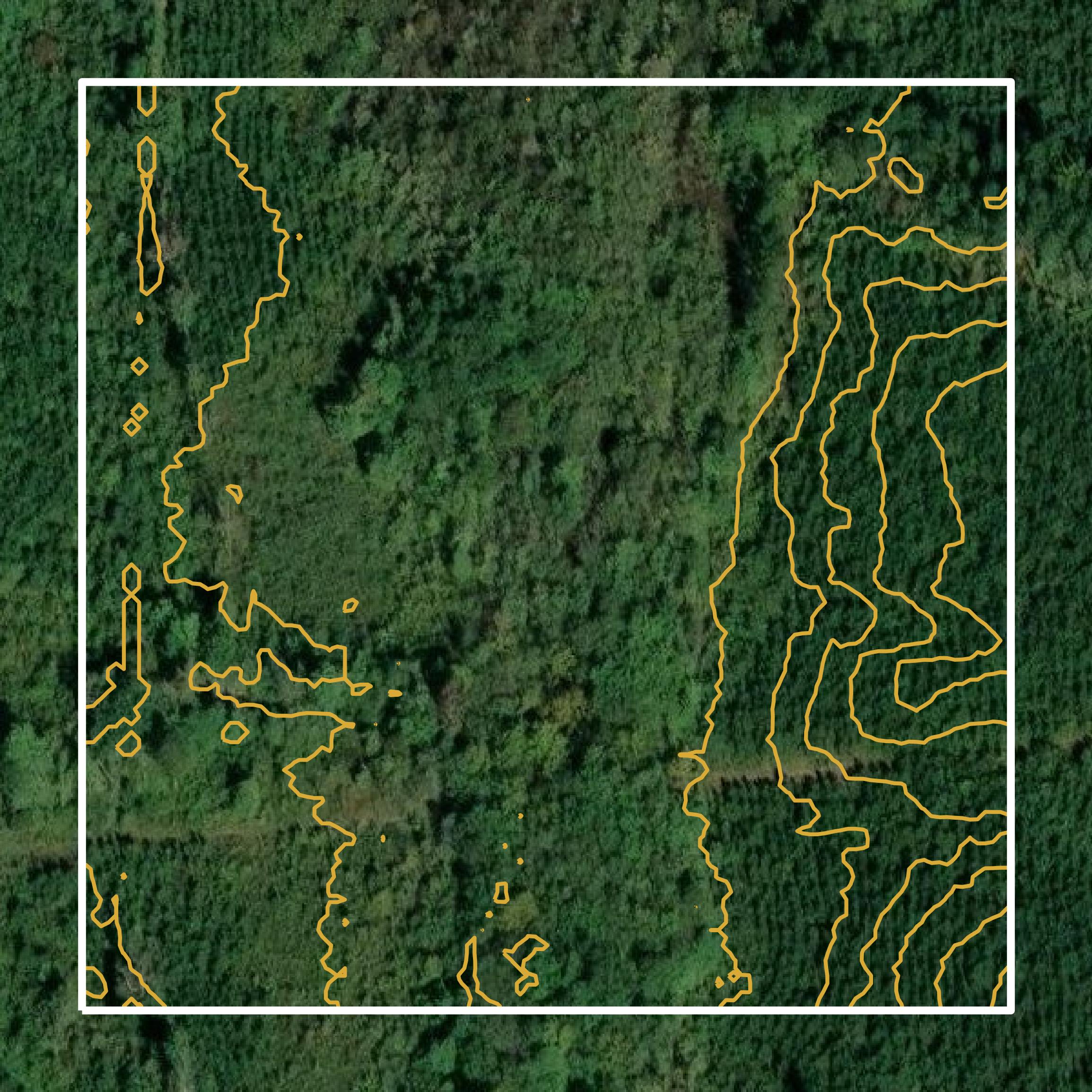 This image shows a contour map in Dinwiddie County created using GIS data in Equator.