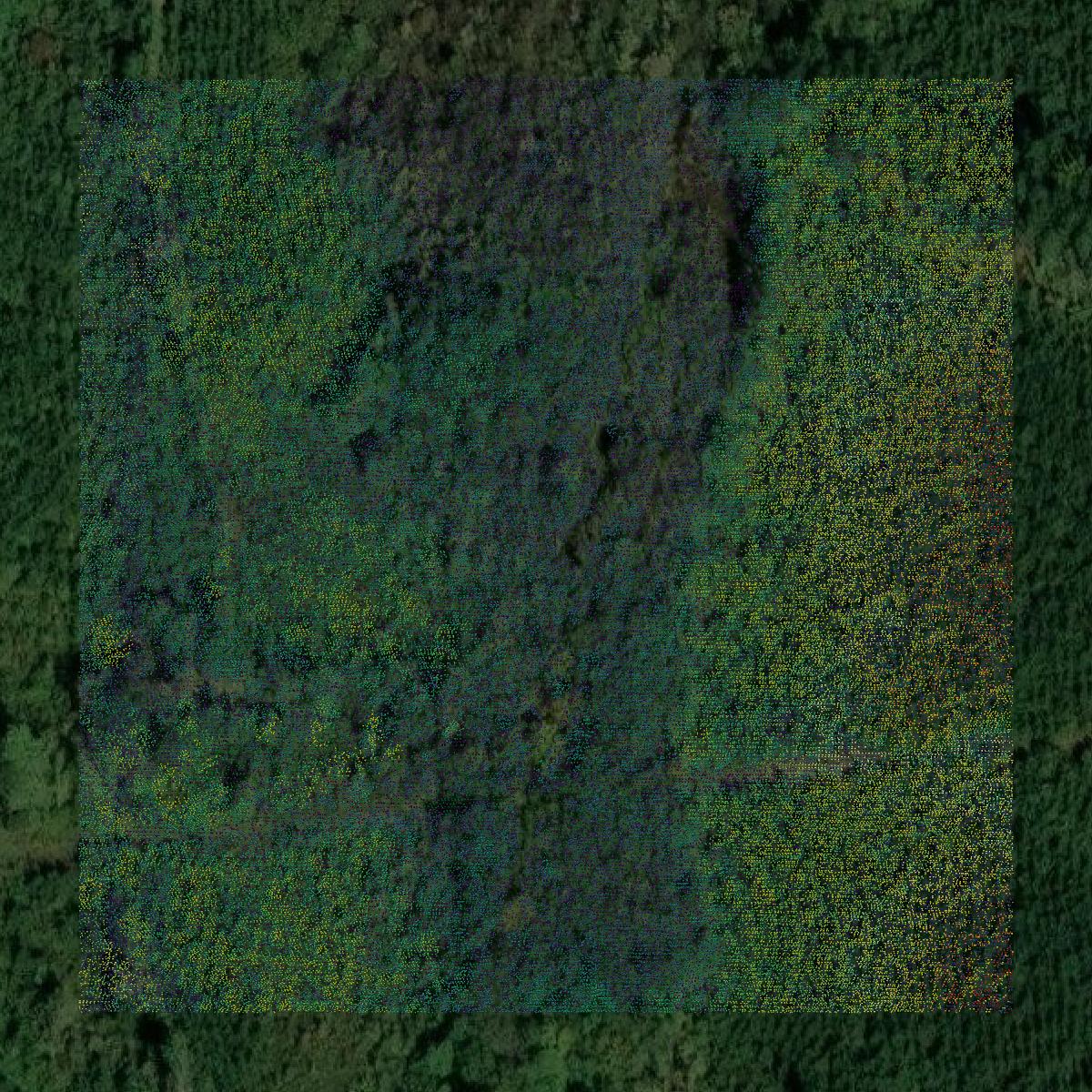 This image shows a LiDAR point cloud in Dinwiddie County created using GIS data in Equator.