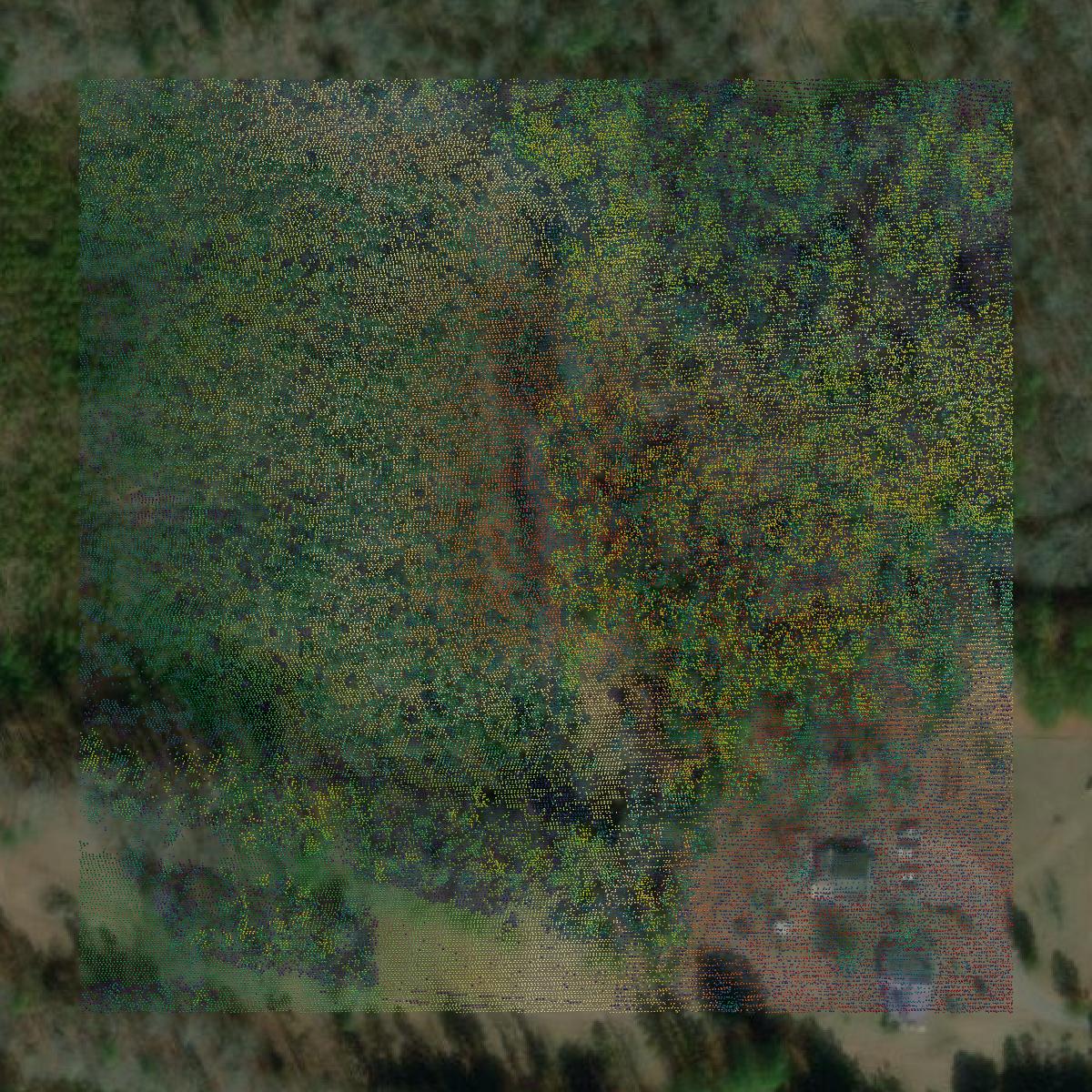 This image shows a LiDAR point cloud in Dinwiddie County created using GIS data in Equator.