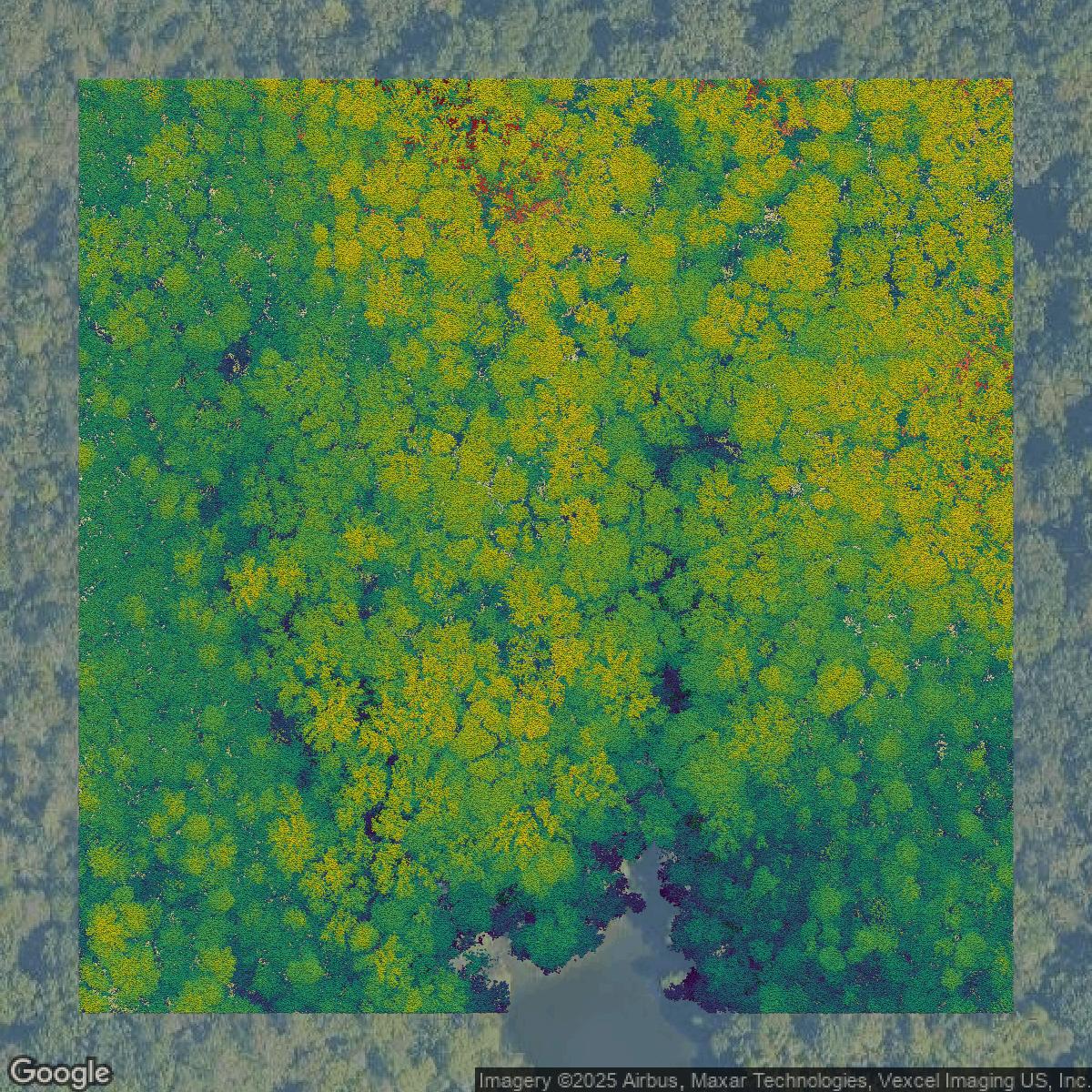 This image shows a LiDAR point cloud in Fairfax County created using GIS data in Equator.