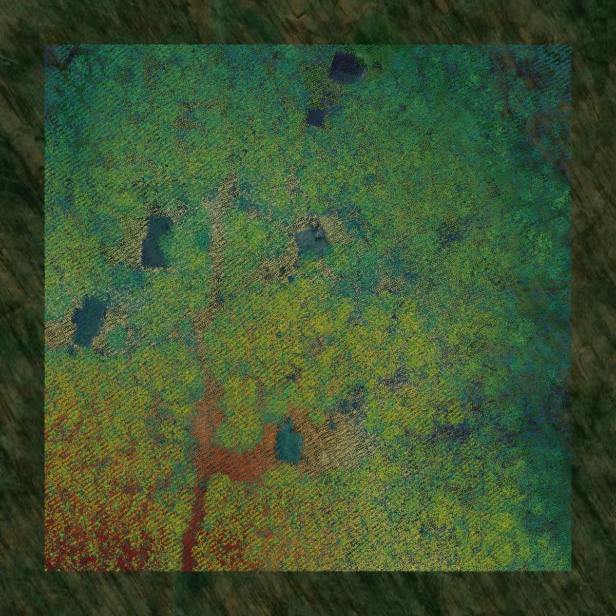 This image shows a LiDAR point cloud in Fauquier County created using GIS data in Equator.