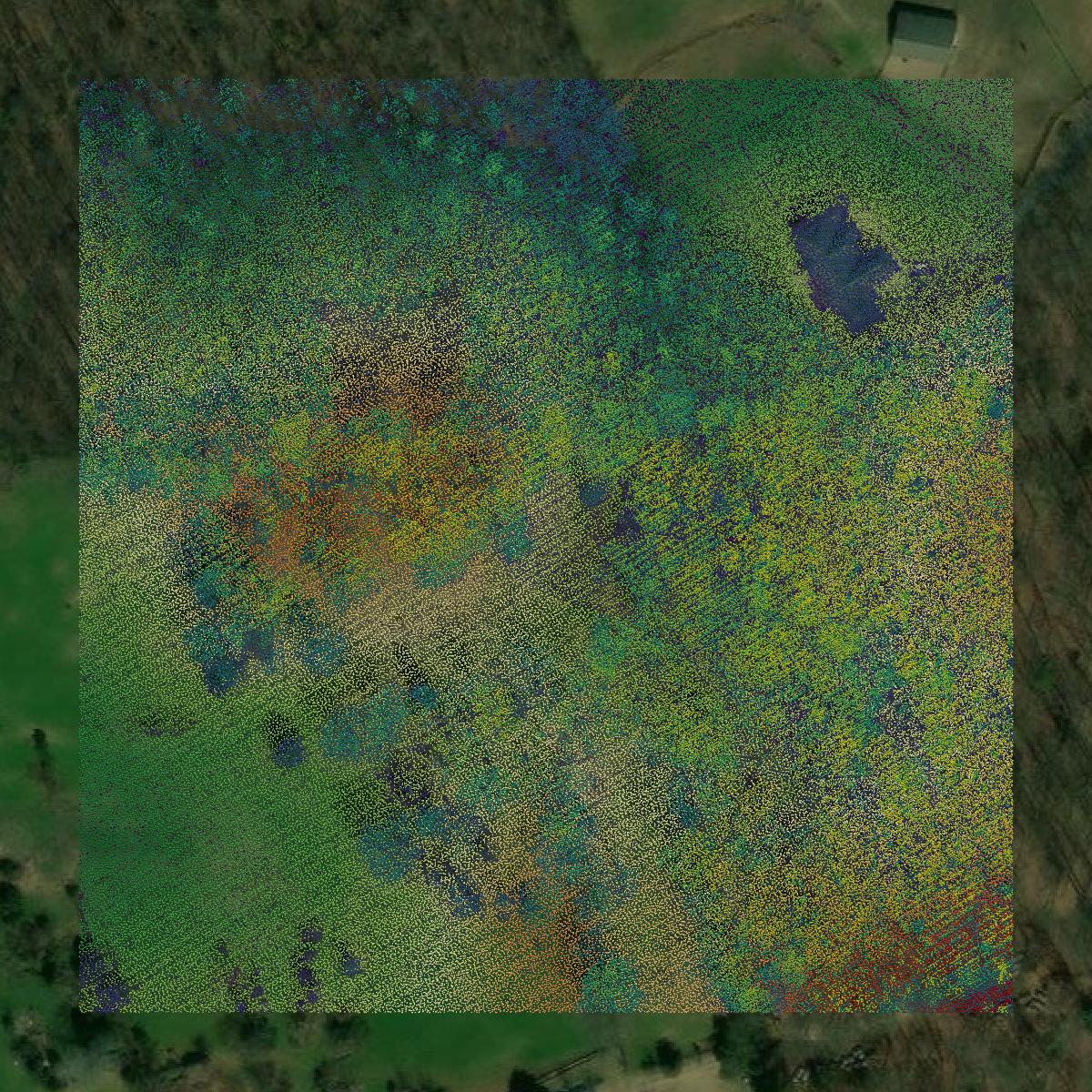 This image shows a LiDAR point cloud in Fauquier County created using GIS data in Equator.