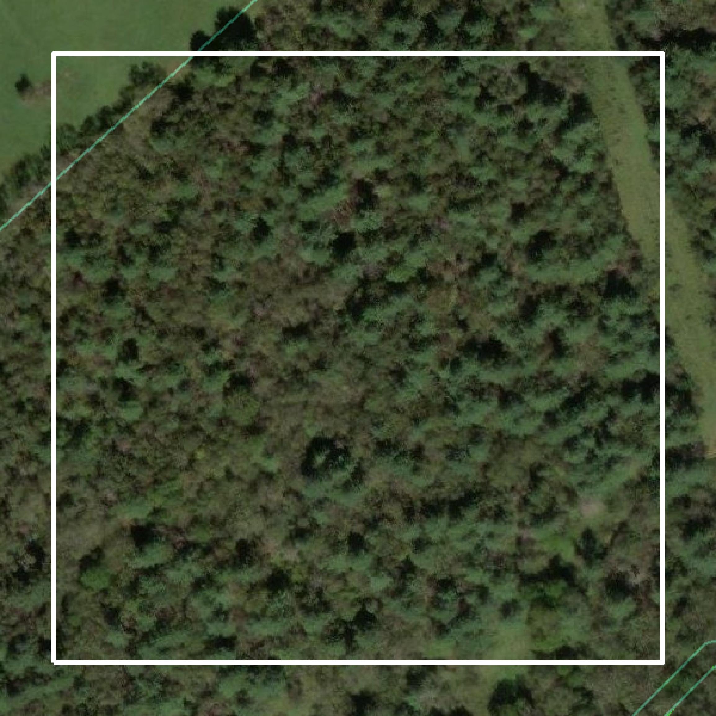 This image shows parcel and building data in Floyd County created using GIS data in Equator.