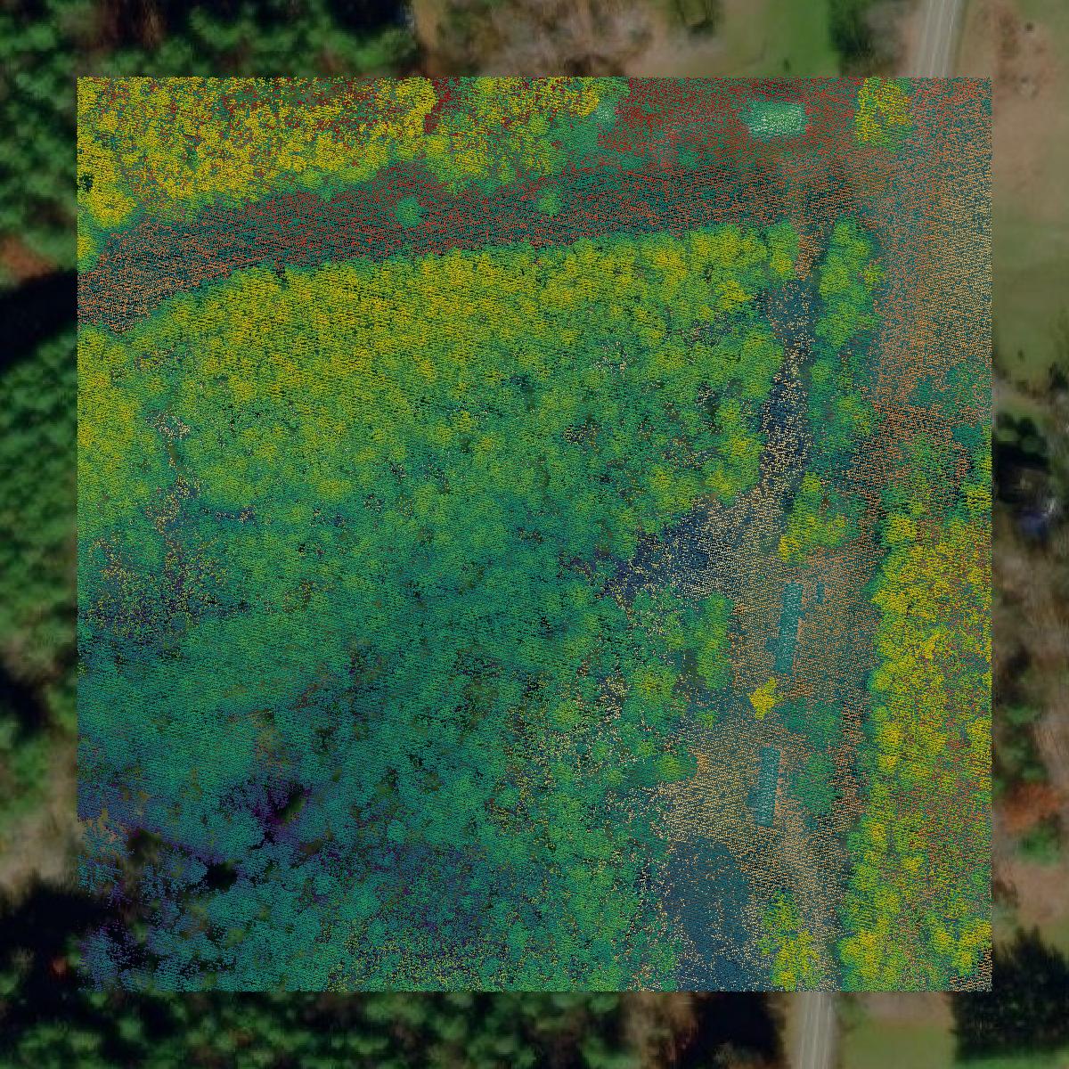 This image shows a LiDAR point cloud in Floyd County created using GIS data in Equator.