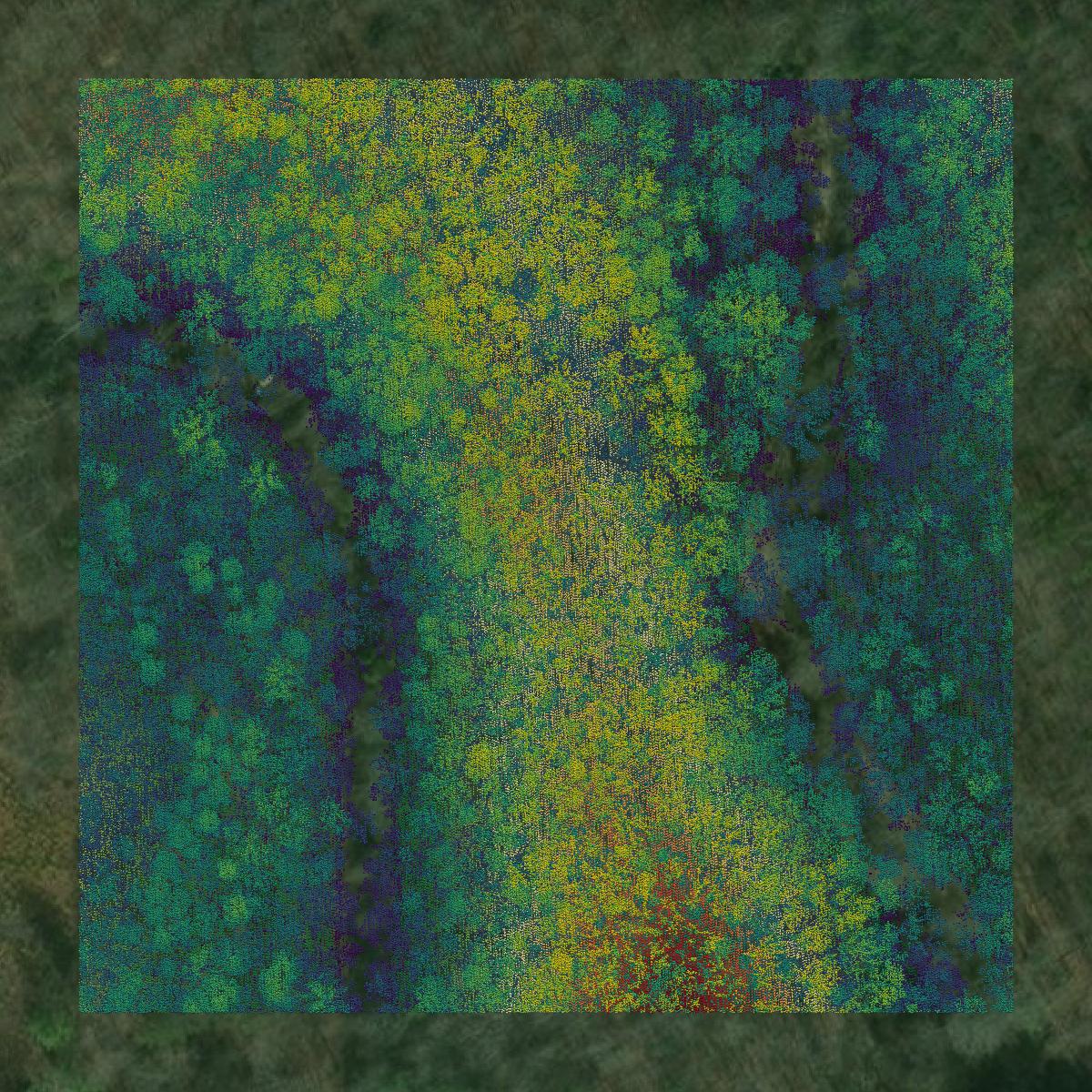 This image shows a LiDAR point cloud in Fluvanna County created using GIS data in Equator.